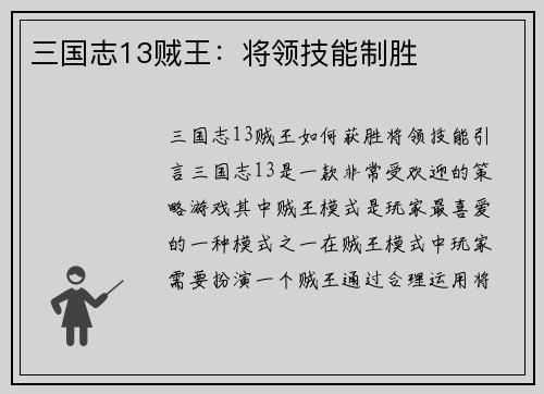 三国志13贼王：将领技能制胜